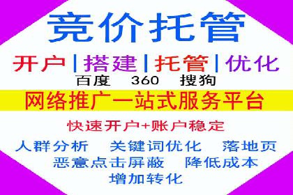 SEM代运营机构案例分析：优化策略与执行